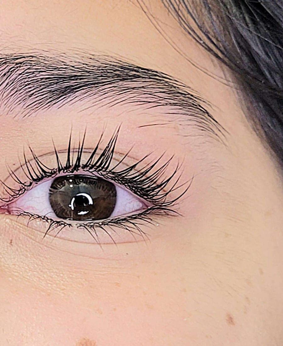 The same client's lashes after a Korean lash lift