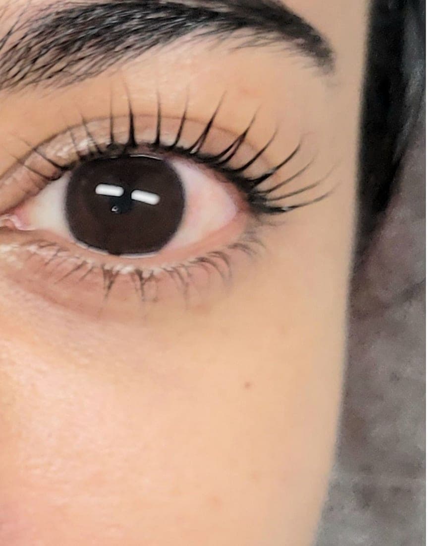 The same client's lashes after a Korean lash lift