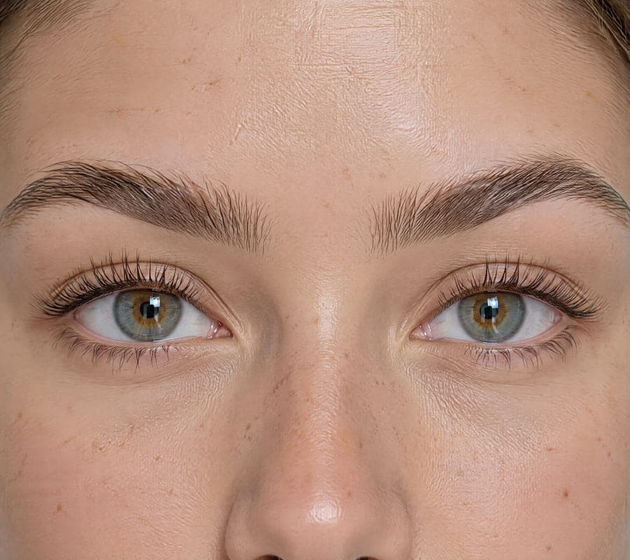 A close-up of lashes and brows after a keratin infusion